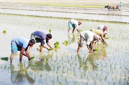 ছবি: সংবাদ সংক্রান্ত-সাইফুল মিলন।