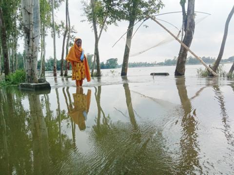 ছবি : সংবাদ সংক্রান্ত