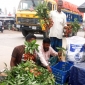 ঘোড়াঘাটে হাট-বাজারে বিক্রি হচ্ছে অপরিপক্ক লিচু