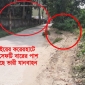 মিরসরাইয়ে সড়কের সেফটি বার যেন তামাশার বস্তু