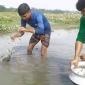 অবৈধ কারেন্ট জাল ব্যবহার ও উৎপাদন বন্ধের বিকল্প নেই