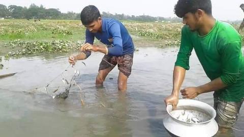 ছবি : সংবাদ সংক্রান্ত