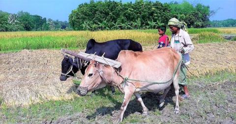 ছবি : সংবাদ সংক্রান্ত