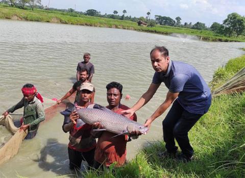 ছবি : সংবাদ সংক্রান্ত