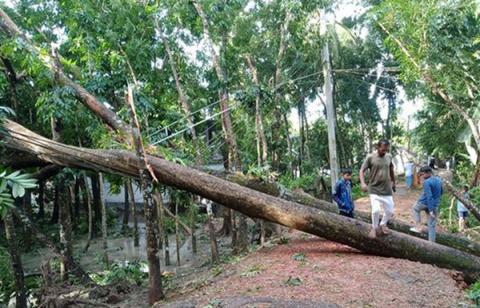 ছবি : সংবাদ সংক্রান্ত