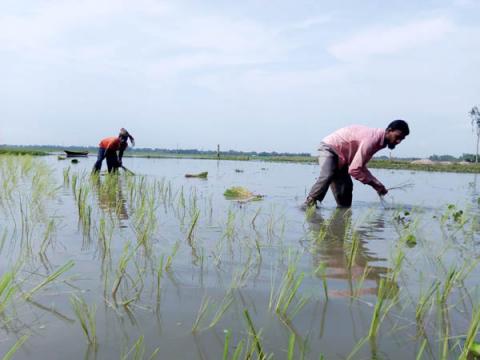 ছবি : সংবাদ সংক্রান্ত